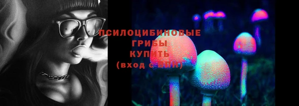 спиды Верея