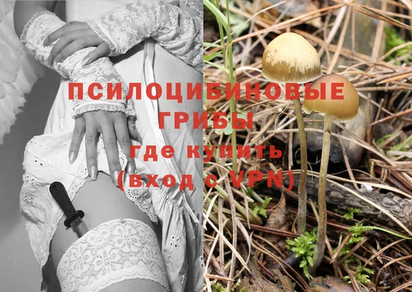 спиды Верея