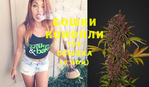 спиды Верея