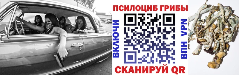 купить наркотик  Городовиковск  Галлюциногенные грибы мицелий 